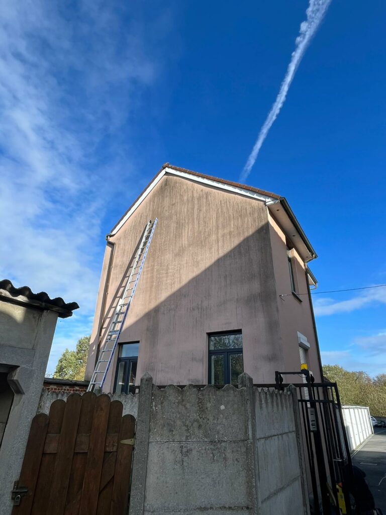 Vue toiture avant intervention, L'Atelier du toit 01 Ain